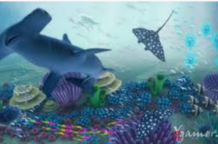 kiayun网页版手机版